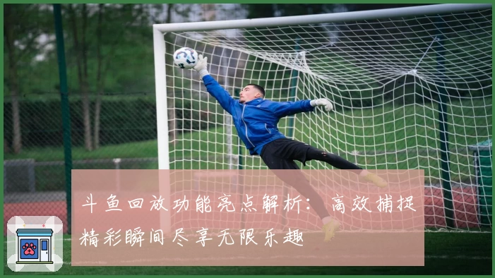 斗鱼回放功能亮点解析：高效捕捉精彩瞬间尽享无限乐趣