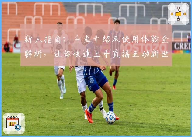 新人指南：斗鱼介绍及使用体验全解析，让你快速上手直播互动新世界