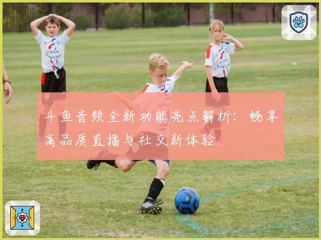 斗鱼音频全新功能亮点解析:畅享高品质直播与社交新体验