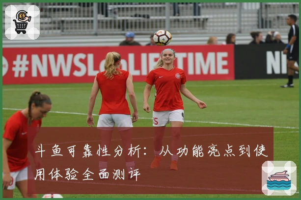 斗鱼可靠性分析：从功能亮点到使用体验全面测评