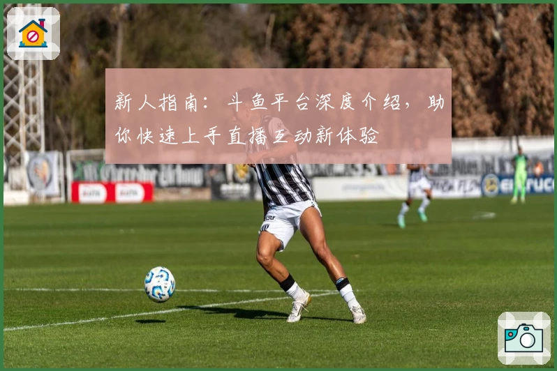 新人指南：斗鱼平台深度介绍，助你快速上手直播互动新体验