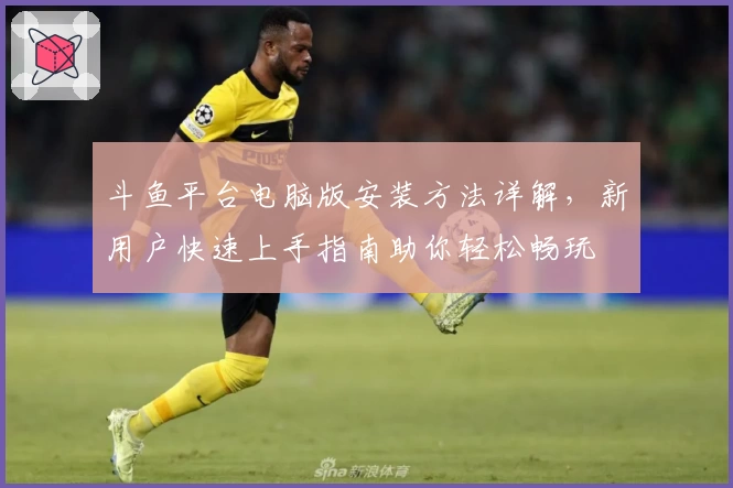 斗鱼平台电脑版安装方法详解,新用户快速上手指南助你轻松畅玩