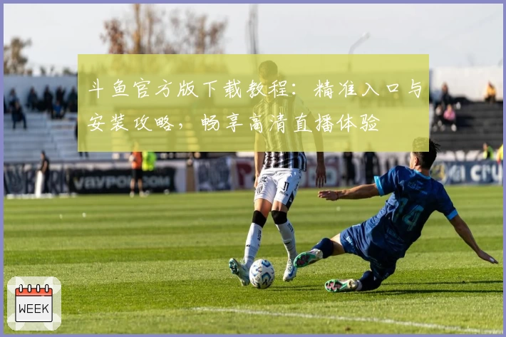 斗鱼官方版下载教程：精准入口与安装攻略，畅享高清直播体验