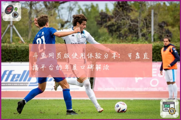 斗鱼网页版使用体验分享：可靠直播平台的年度口碑解读