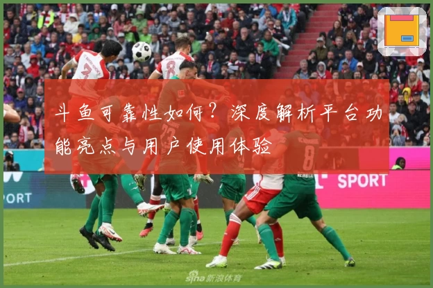 斗鱼可靠性如何？深度解析平台功能亮点与用户使用体验