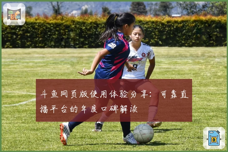 斗鱼网页版使用体验分享：可靠直播平台的年度口碑解读