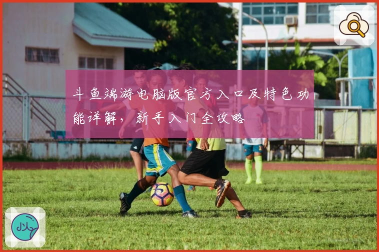 斗鱼端游电脑版官方入口及特色功能详解,新手入门全攻略
