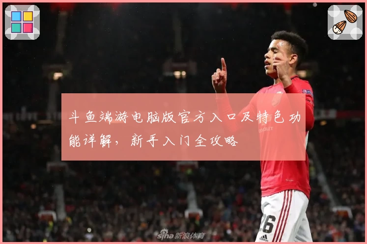 斗鱼端游电脑版官方入口及特色功能详解,新手入门全攻略