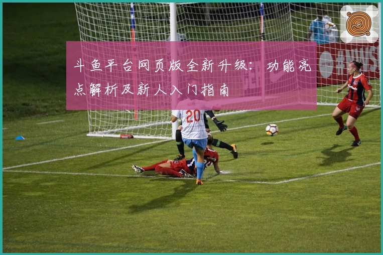 斗鱼平台网页版全新升级:功能亮点解析及新人入门指南