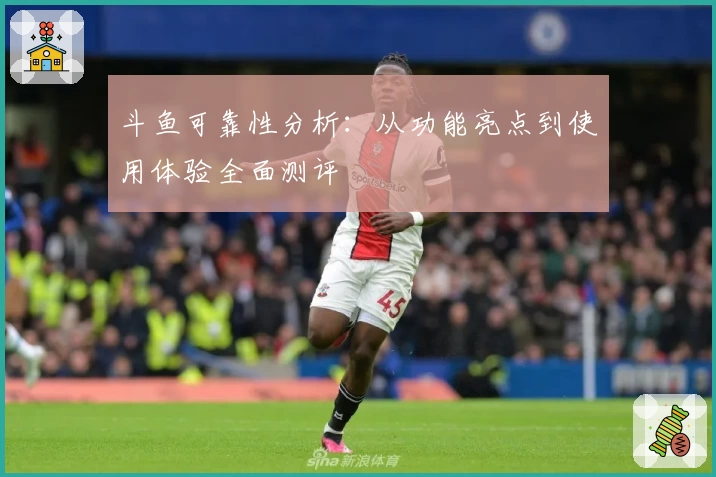 斗鱼可靠性分析：从功能亮点到使用体验全面测评