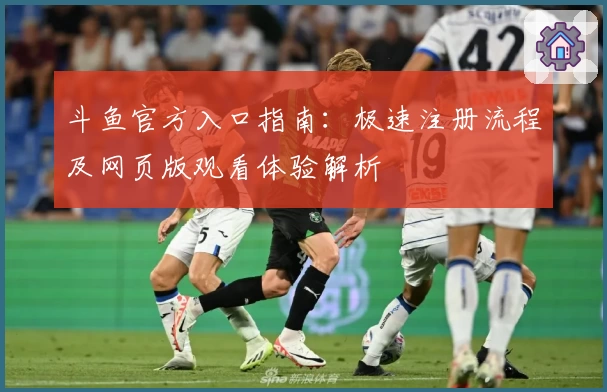 斗鱼官方入口指南：极速注册流程及网页版观看体验解析